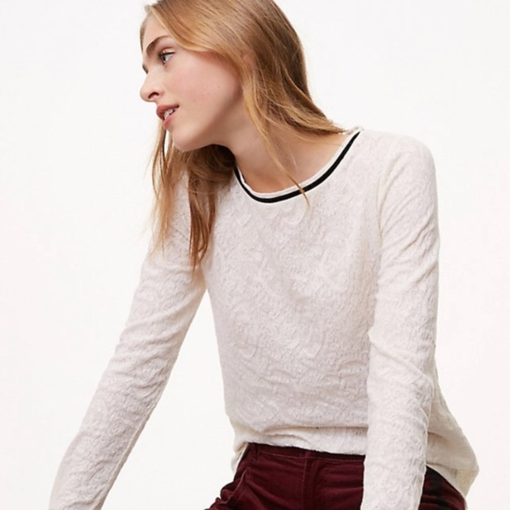 LOFT Petite Velvet Trim Lace Jacquard Tee